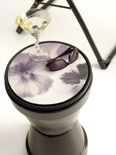 Picture Perfect Picture Perfect